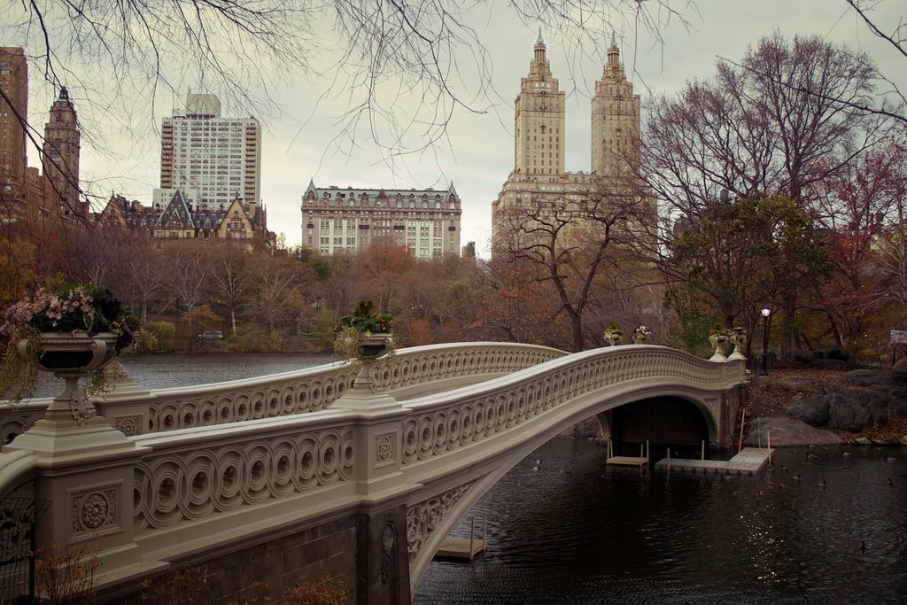 new-york-central-park-ponte