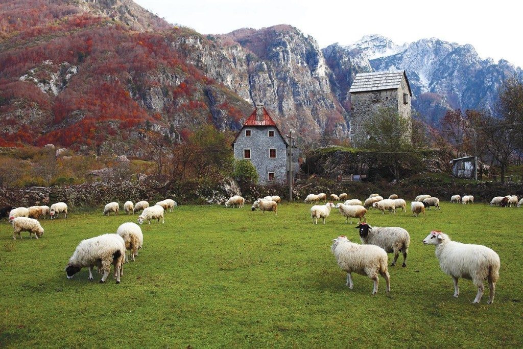 albania-zone-rurali