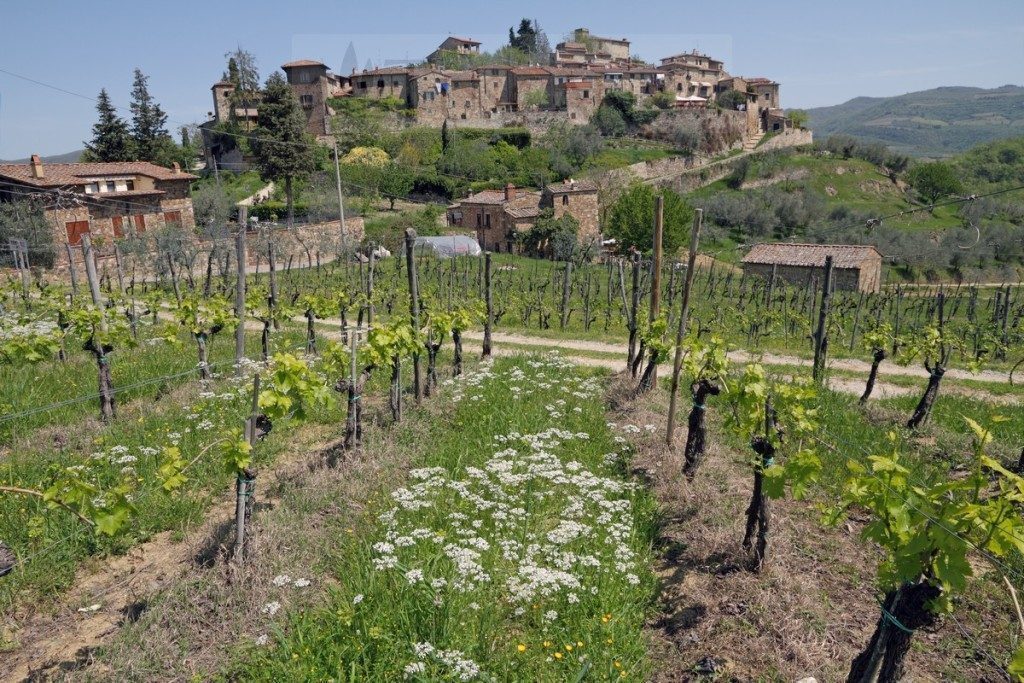 greve-in-chianti-paese