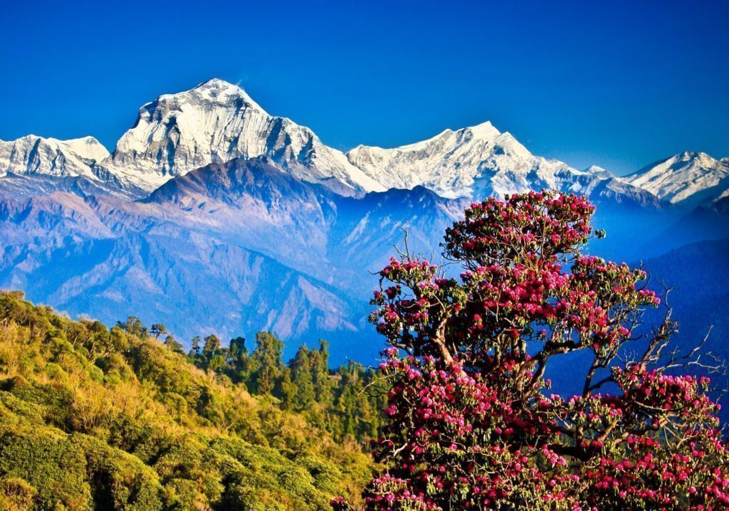 nepal-montagne