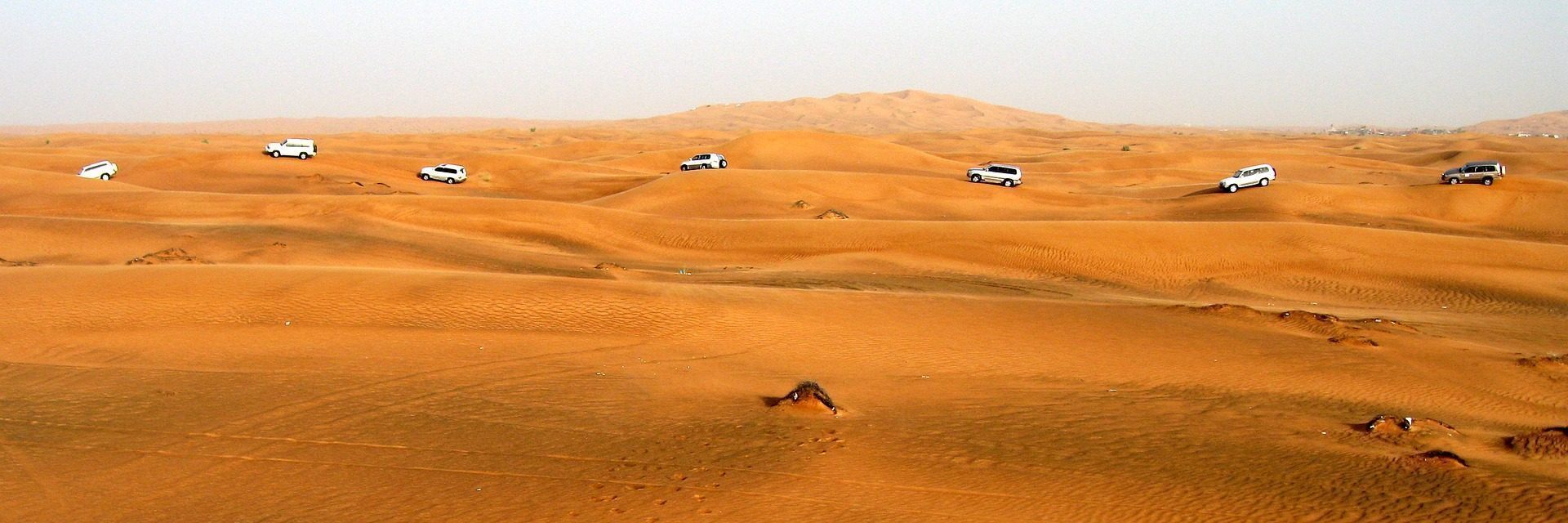 Safari Dubai