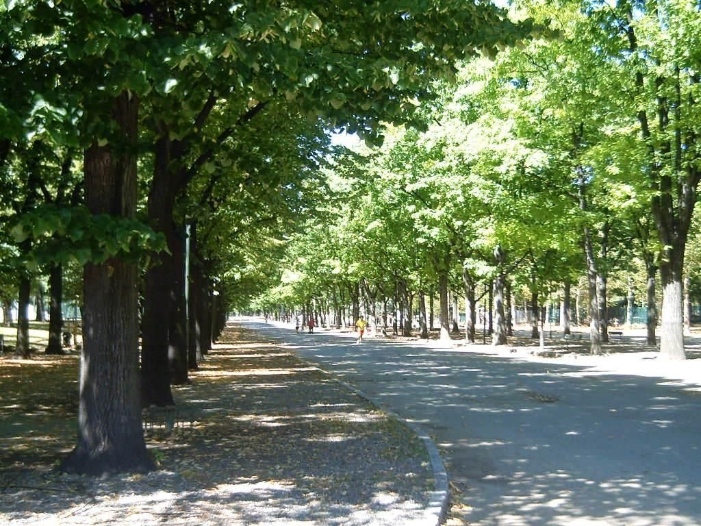 Torino da vivere in estate: i parchi più belli da visitare