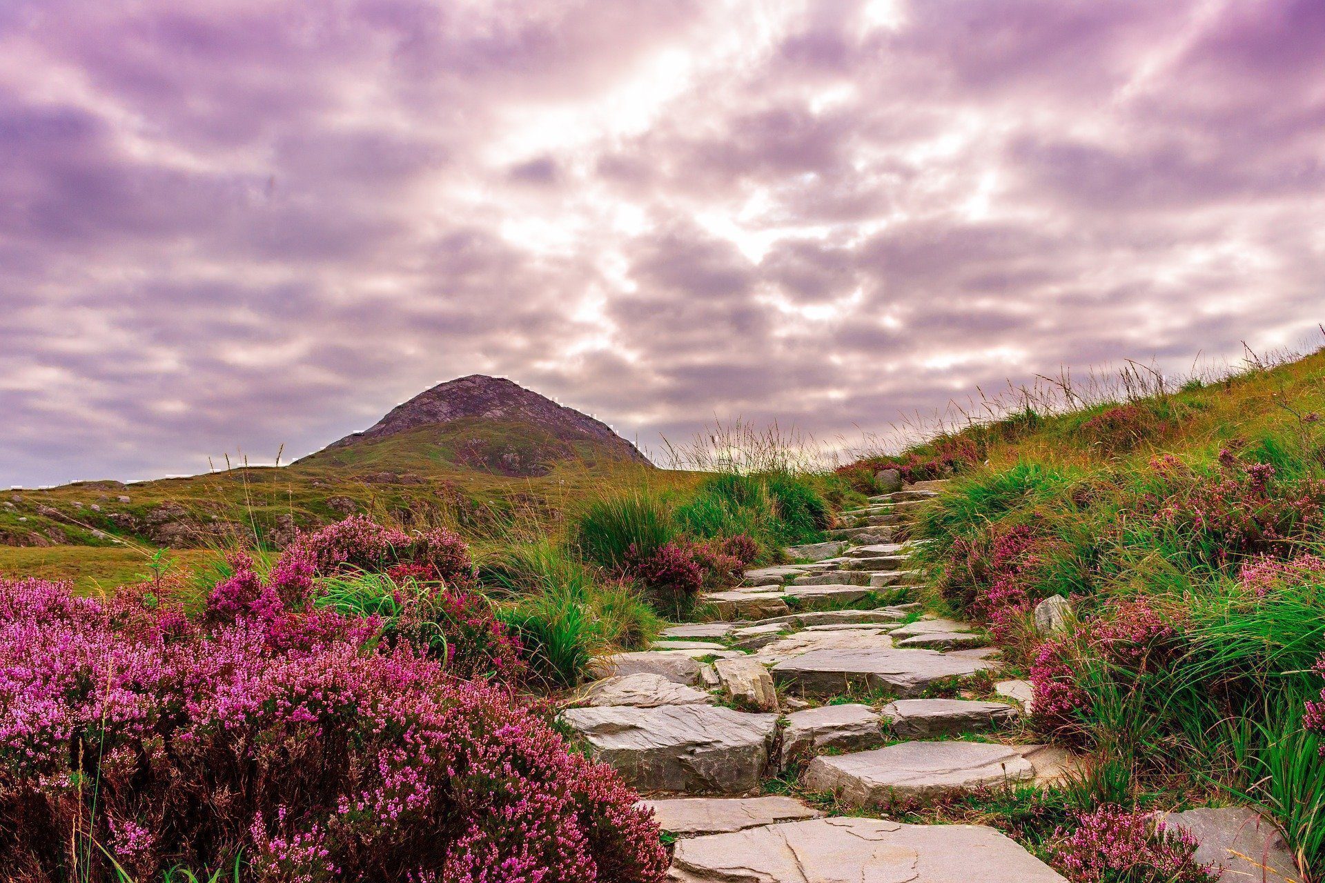 Connemara Irlanda 5 Cose Imperdibili Viaggi Low Cost connemara-irlanda-5-cose-imperdibili-viaggi-low-cost