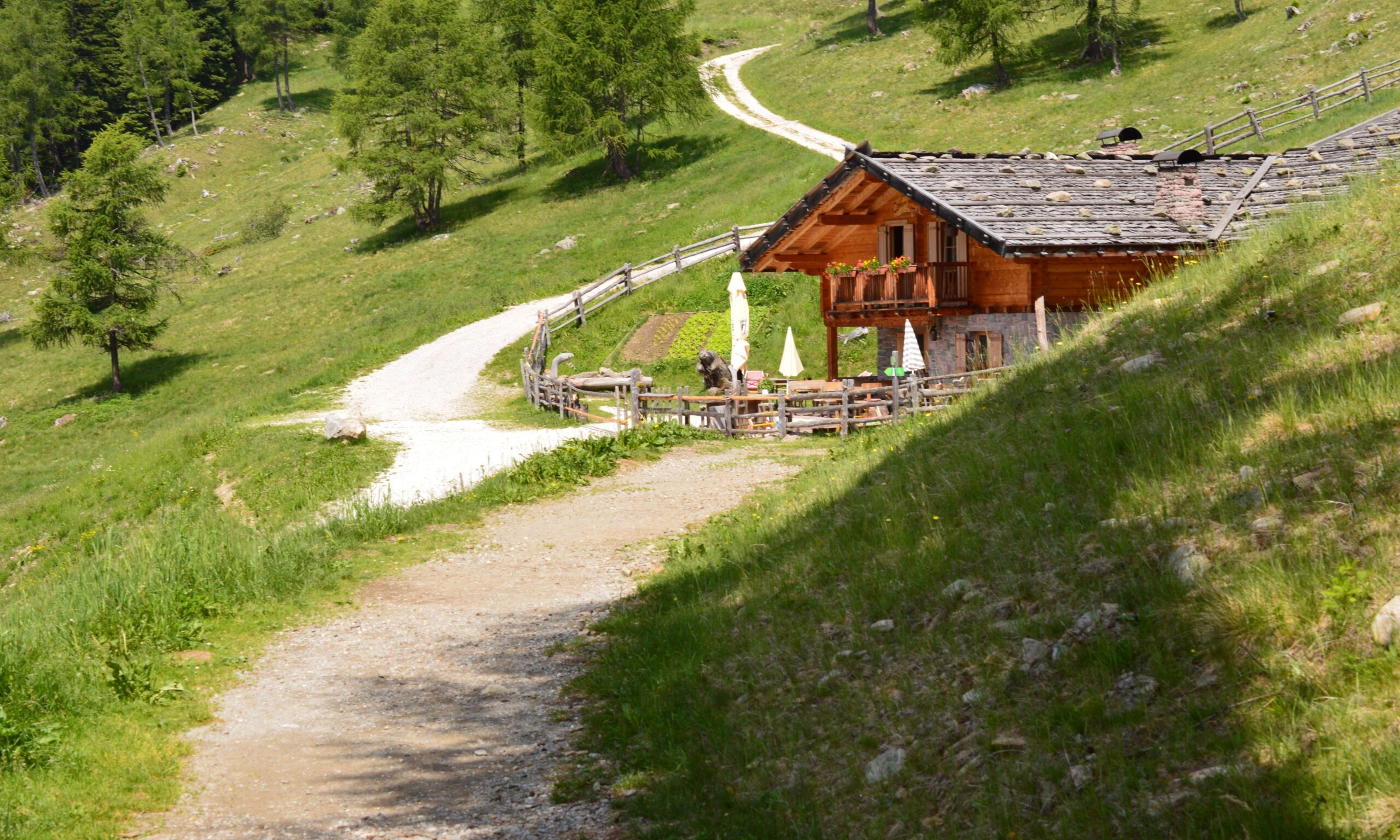 Gallo Rosso Vacanza In Un Maso In Alto Adige Viaggi Low Cost