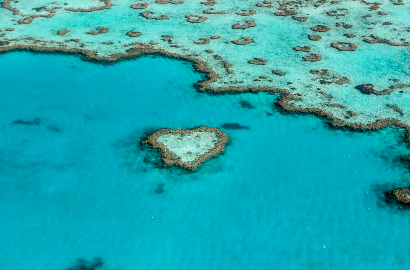 Grande barriera corallina australiana